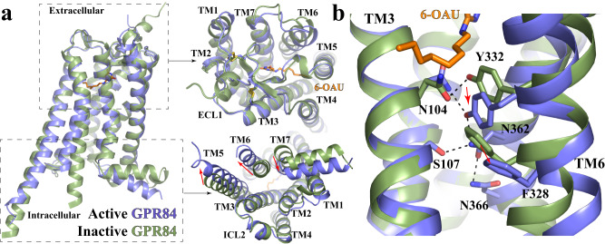 Fig. 6