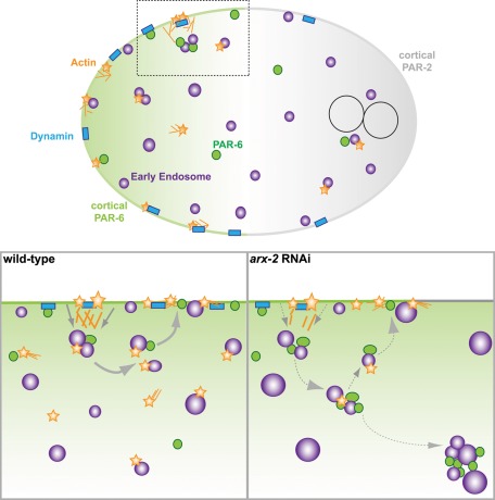 FIGURE 5: