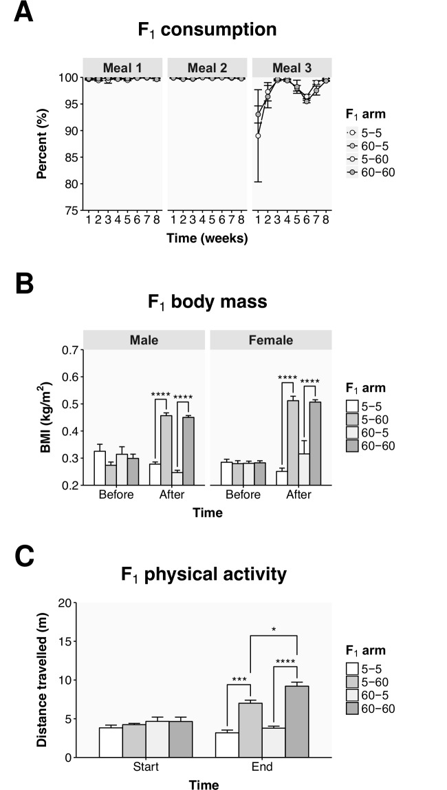 Fig 5