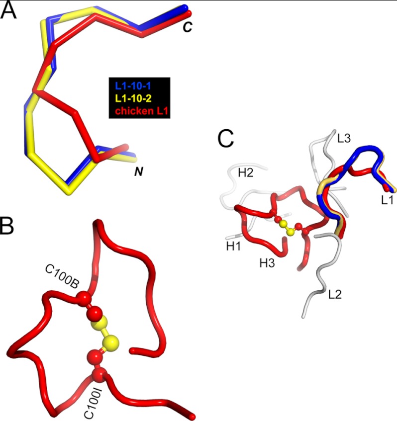 FIGURE 5.