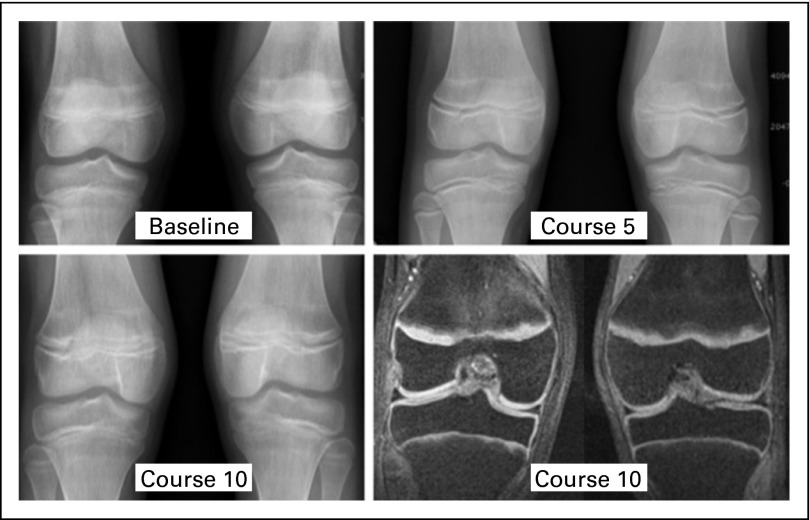 Fig 1.