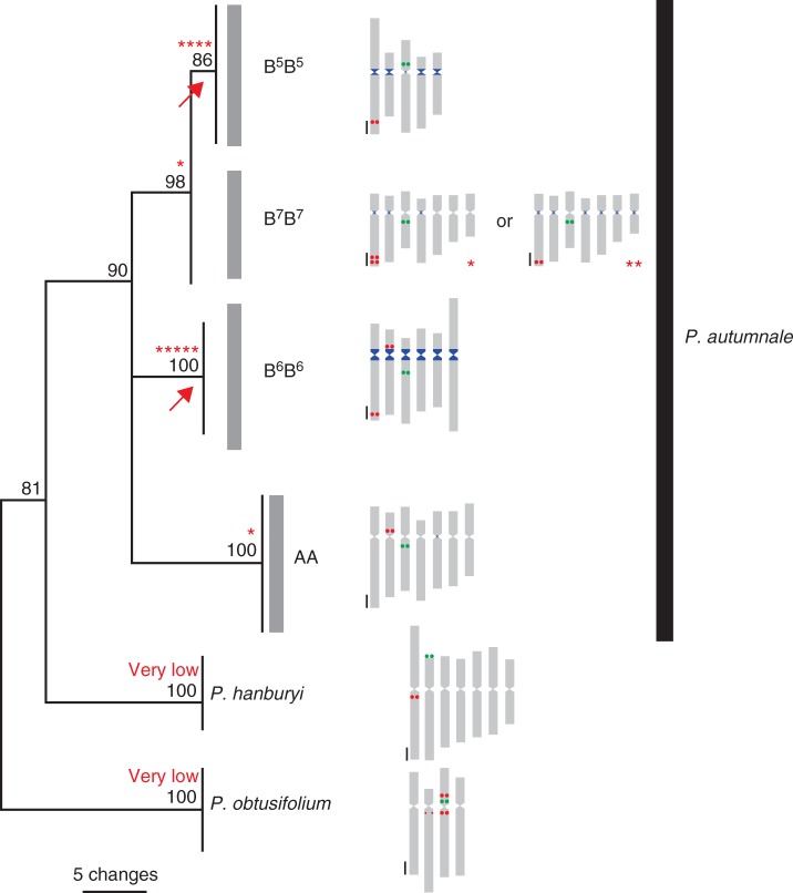 Fig. 6.