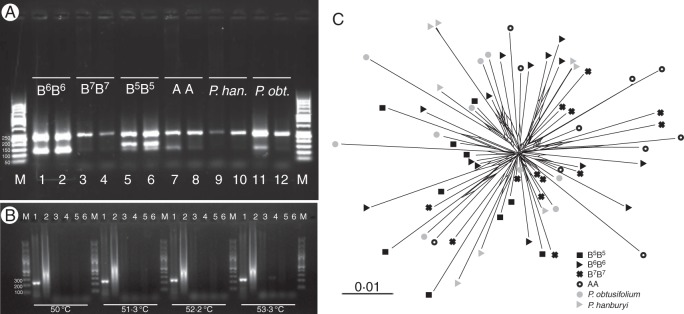 Fig. 2.