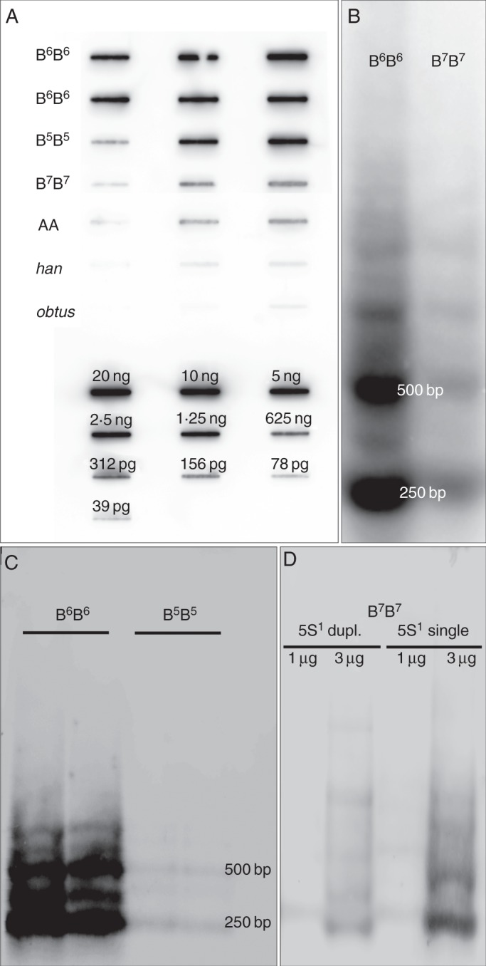 Fig. 3.