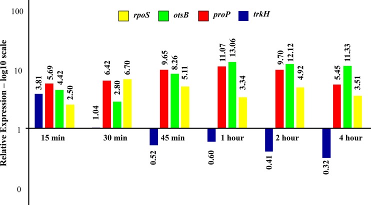 FIG 6