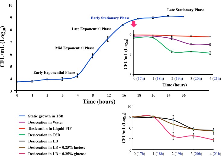 FIG 2