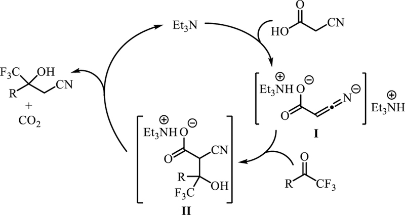 Scheme 5.