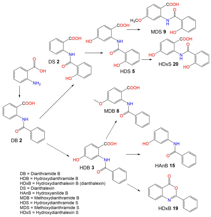 Scheme 1