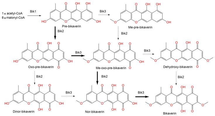 Scheme 3