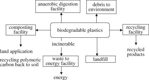 Figure 2.