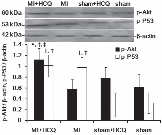 Figure 1)