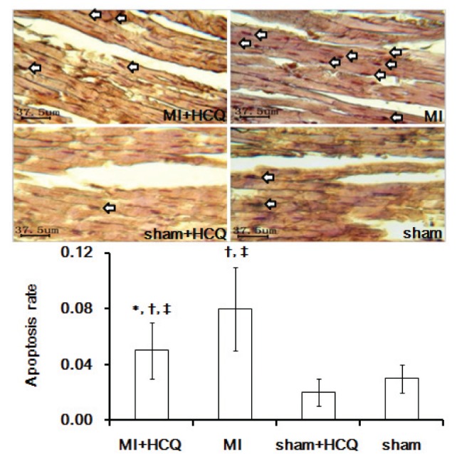 Figure 2)