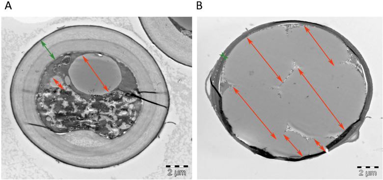 Fig 5