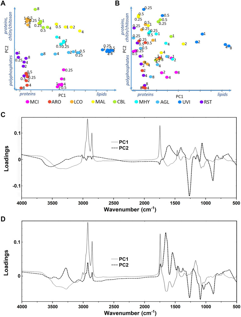 Fig 6