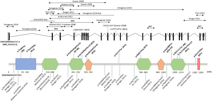 Fig. 4