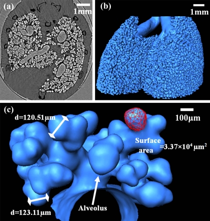 Fig. (5)