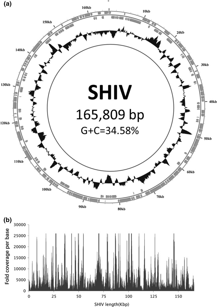 Fig. 1