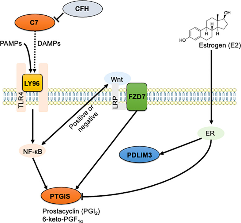 Figure 6