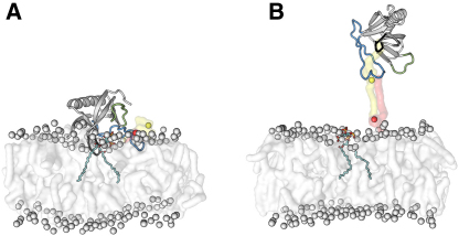 Figure 4