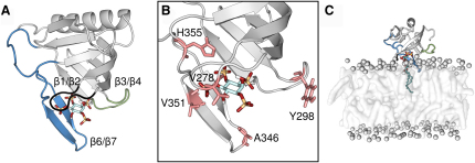 Figure 1