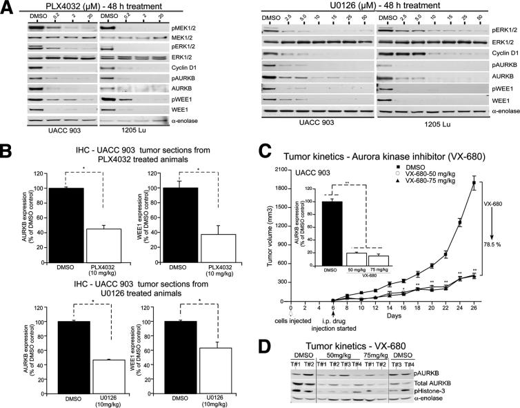 Figure 6