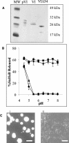 FIG. 7.