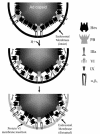 FIG. 8.