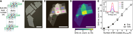 Fig. 4