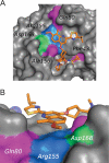 FIG. 4.