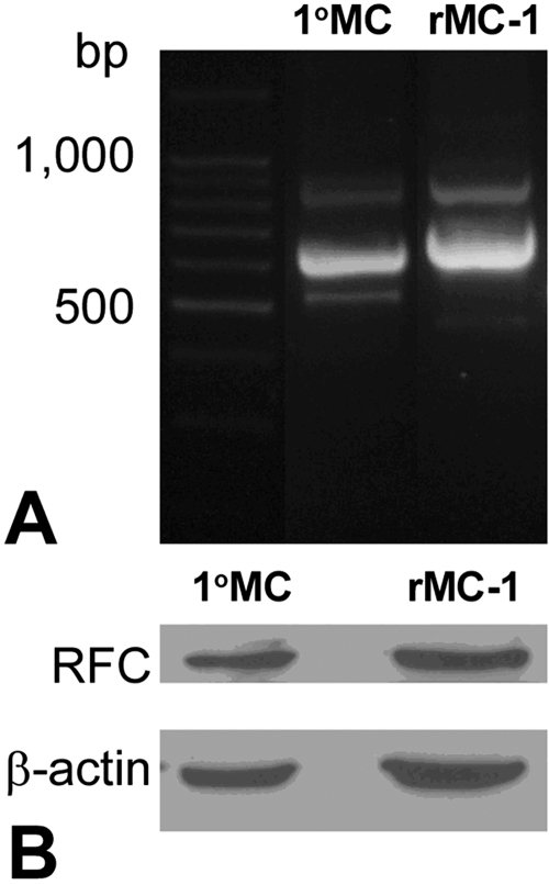 Figure 7.