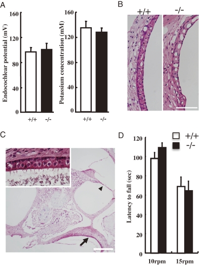 Figure 10. 