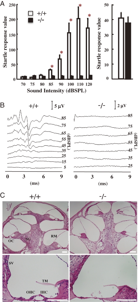 Figure 9. 