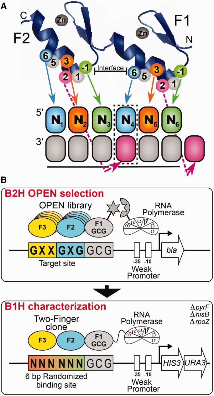 Figure 1.