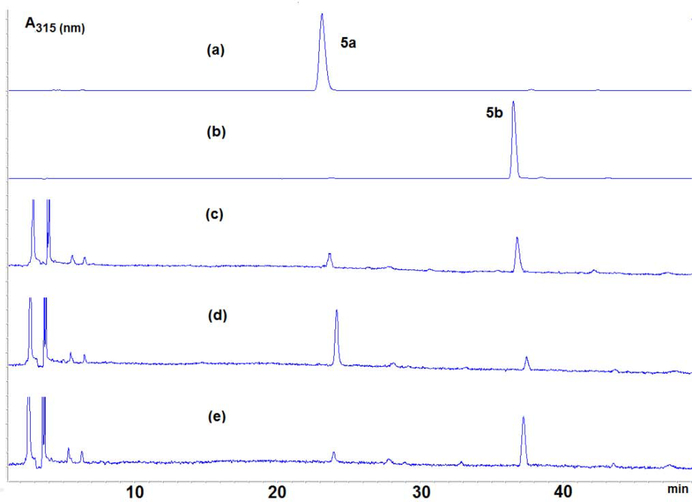 Fig. 5: