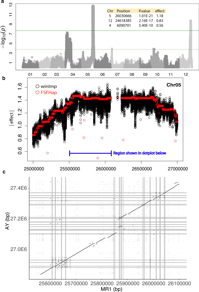 Fig. 7