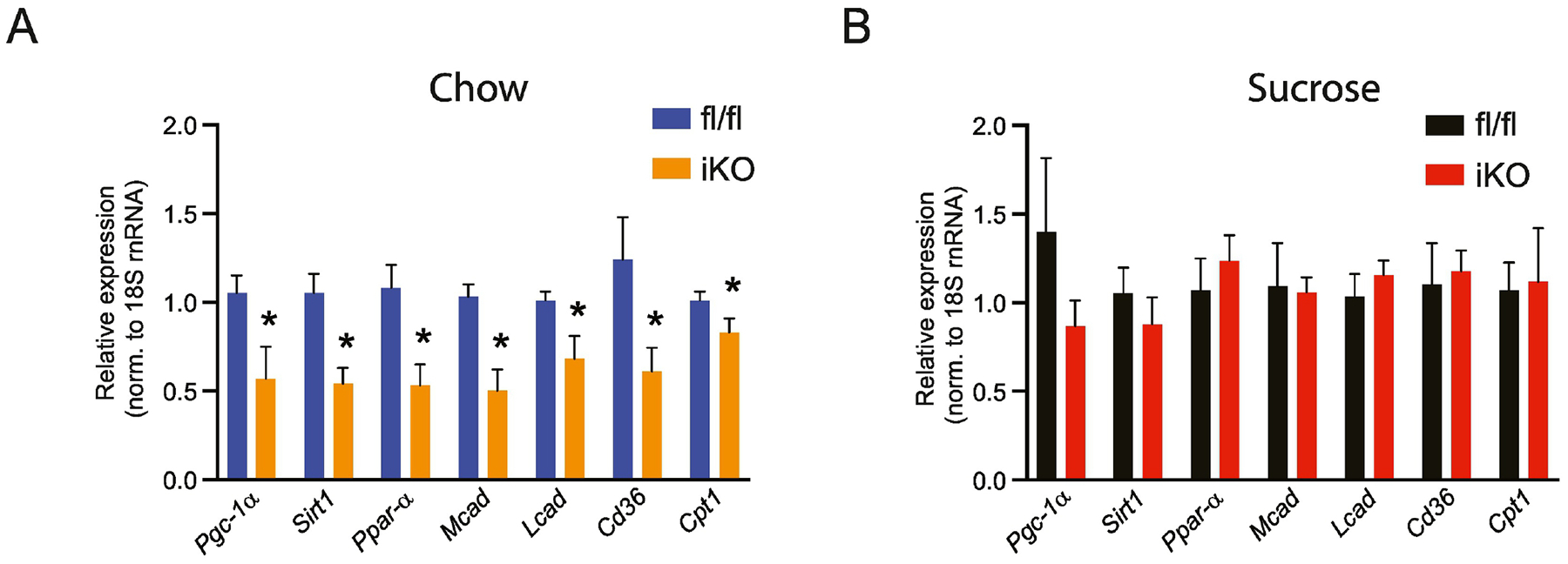 Figure 11.