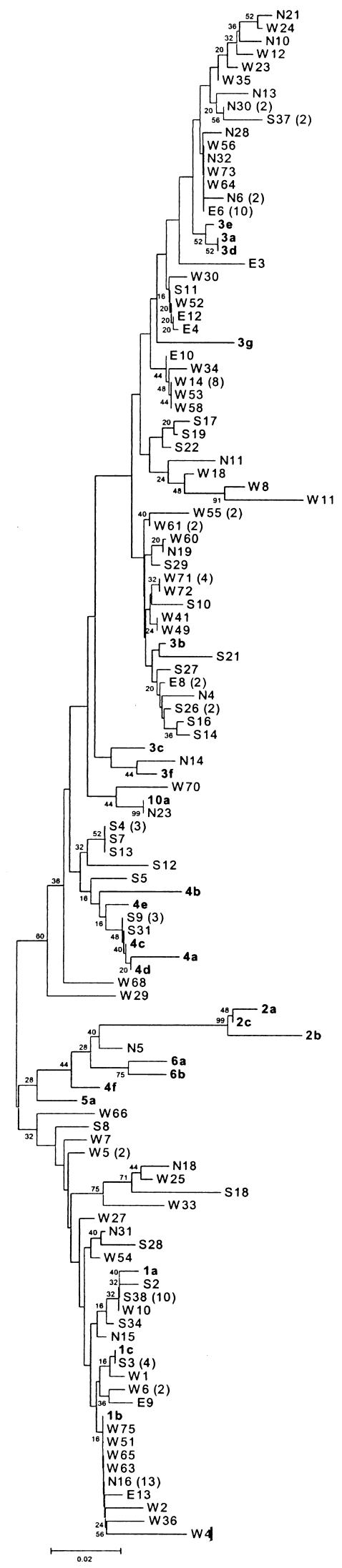 FIG.1.