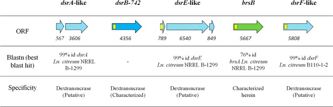 FIGURE 1.