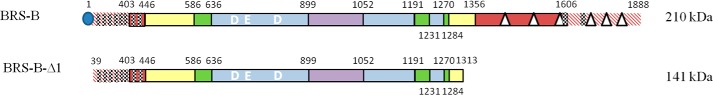 FIGURE 2.