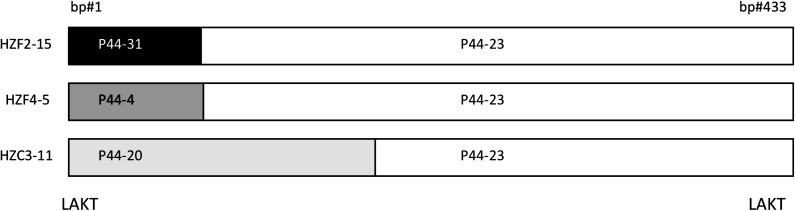 FIG. 4.