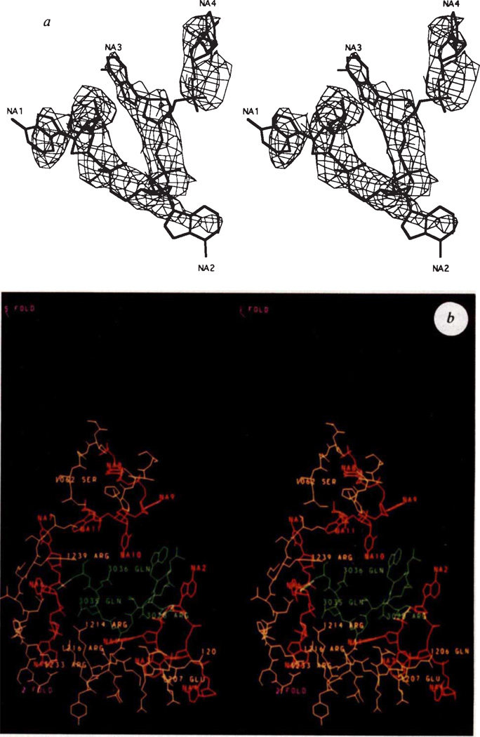 FIG. 3