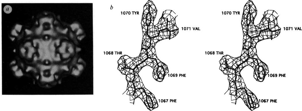 FIG. 1