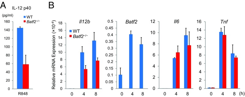 Fig. S5.