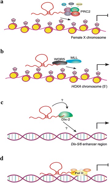 Fig. 1