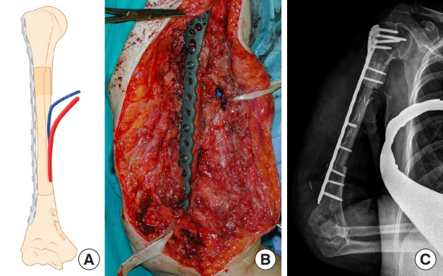 Fig. 7.