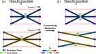 Simple schematic illustrating the process for decreasing network connectivity independent of other network parameters. (a) A network with six fibers connected to a single inner node, N1, has a fiber connectivity of six. All fibers remain connected at N1 during uniaxial stretching. (b) To simulate fragmentation and a 50% reduction in network connectivity, a coincident node, N2, which shared the same initial coordinates, was added, and the fibers were randomly distributed between these nodes for a connectivity reduction from six to three. The reduction in connectivity alters fiber kinematics and the network mechanical responses while the other properties of the network remain unchanged.