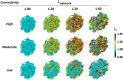Representative network kinematics in response to a reduction in connectivity with greater nonenzymatic crosslinking. Representative network simulations for networks with high, moderate, and low connectivity cases demonstrated fiber realignment into the direction of loading and fiber failure after network stretches (λnetwork) exceeded 1.30. In comparison, low connectivity networks simulating fragmentation with high nonenzymatic crosslinking experienced less fiber recruitment throughout the simulation. At λnetwork = 1.60, a large percentage of fibers remained unrecruited or much less so compared to high and moderate connectivity cases due to fewer stress bearing pathways within the network. Videos for each case are included in supplementary movies 7–9 of the Supplemental Materials on the ASME Digital Collection.