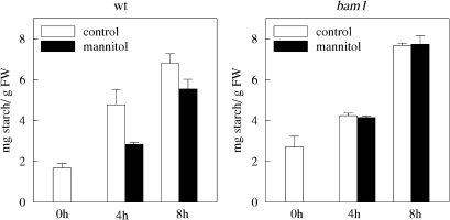 Fig. 10.