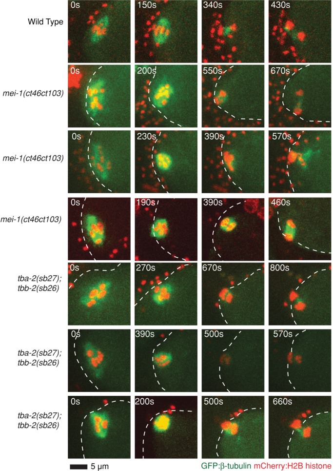 FIGURE 6: