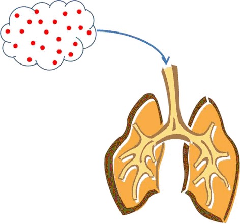 Graphical Abstract Figure.